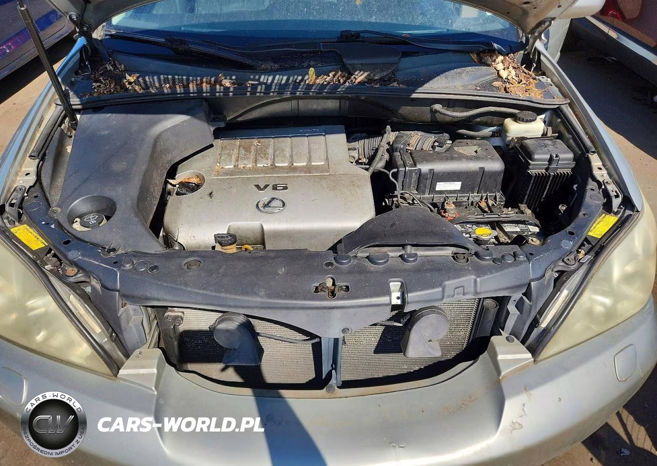 2007 Lexus Rx 350 VIN:2T2HK31U77C018958 - 12