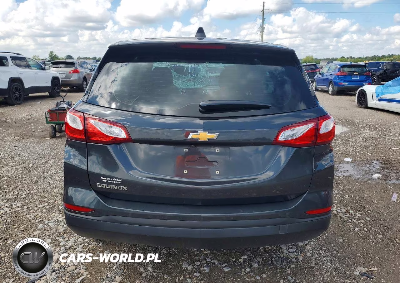 2019 Chevrolet Equinox Ls VIN:2GNAXHEV9K6143386 - 6