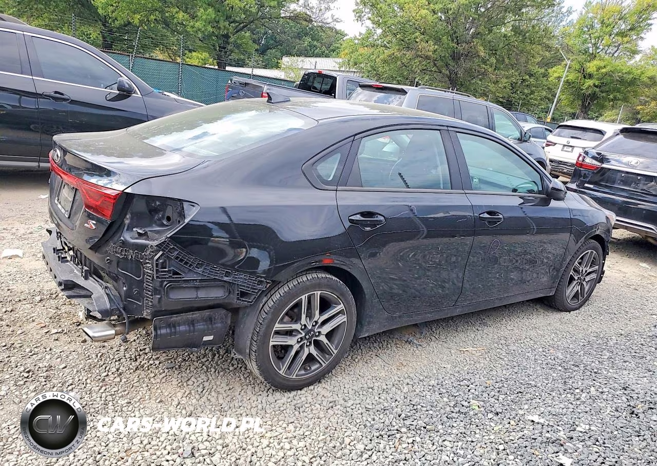 2019 Kia Forte S VIN:3KPF34AD4KE027903 - 3