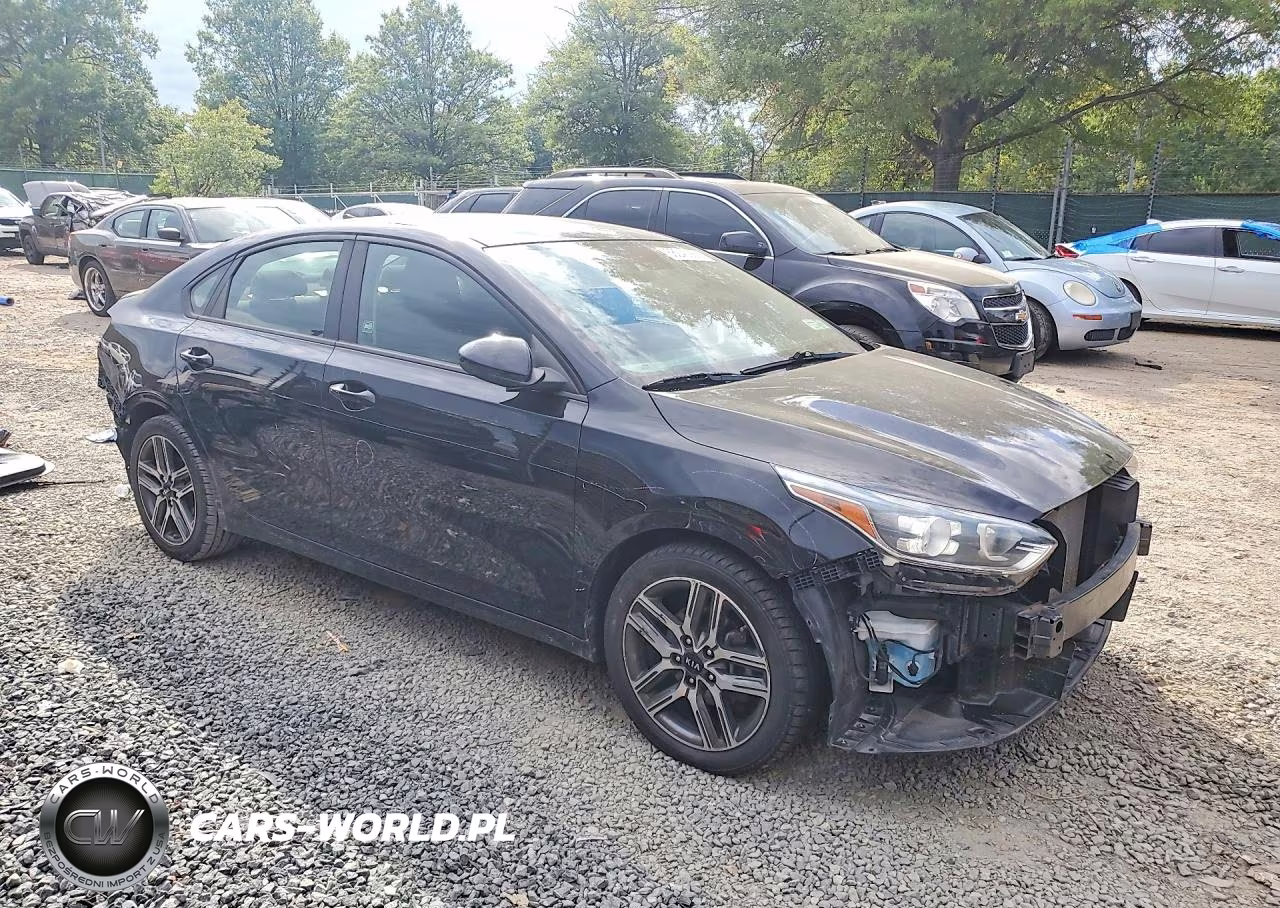 2019 Kia Forte S VIN:3KPF34AD4KE027903 - 4