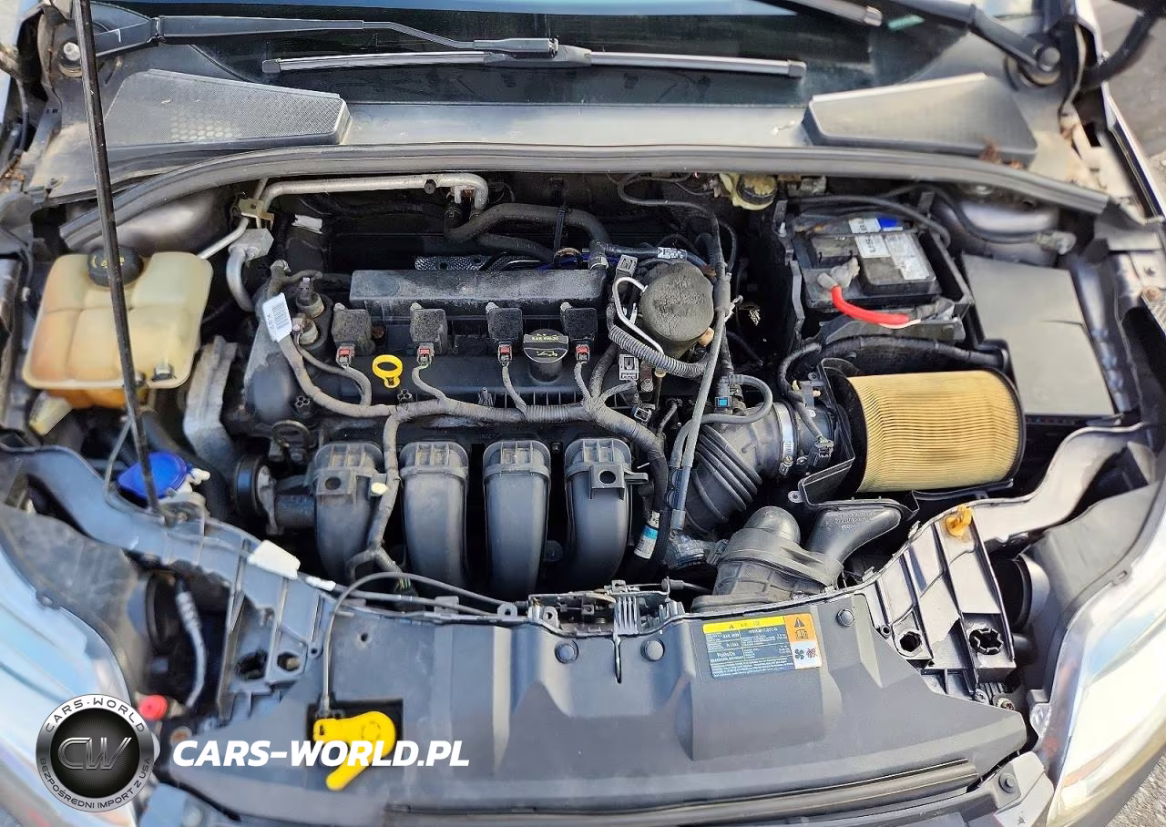 2014 Ford Focus Se VIN:1FADP3F25EL152519 - 11