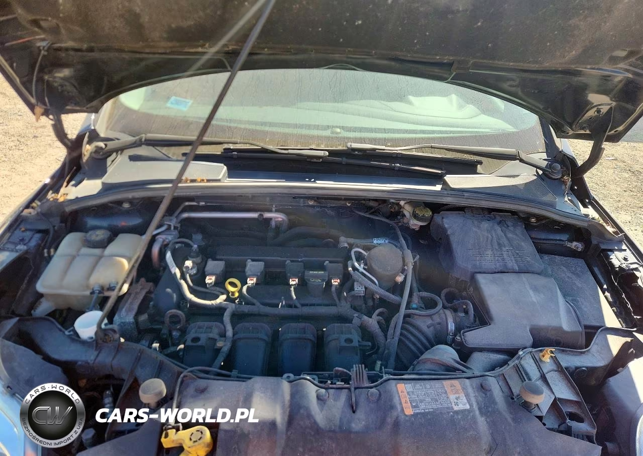 2014 Ford Focus Se VIN:1FADP3K2XEL369473 - 11