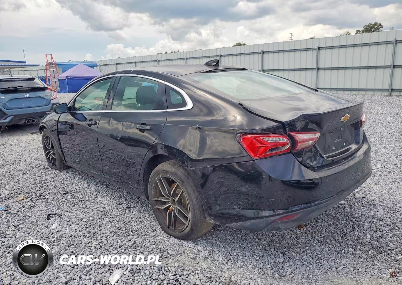 2019 Chevrolet Malibu Lt VIN:1G1ZD5ST6KF159503 - 2