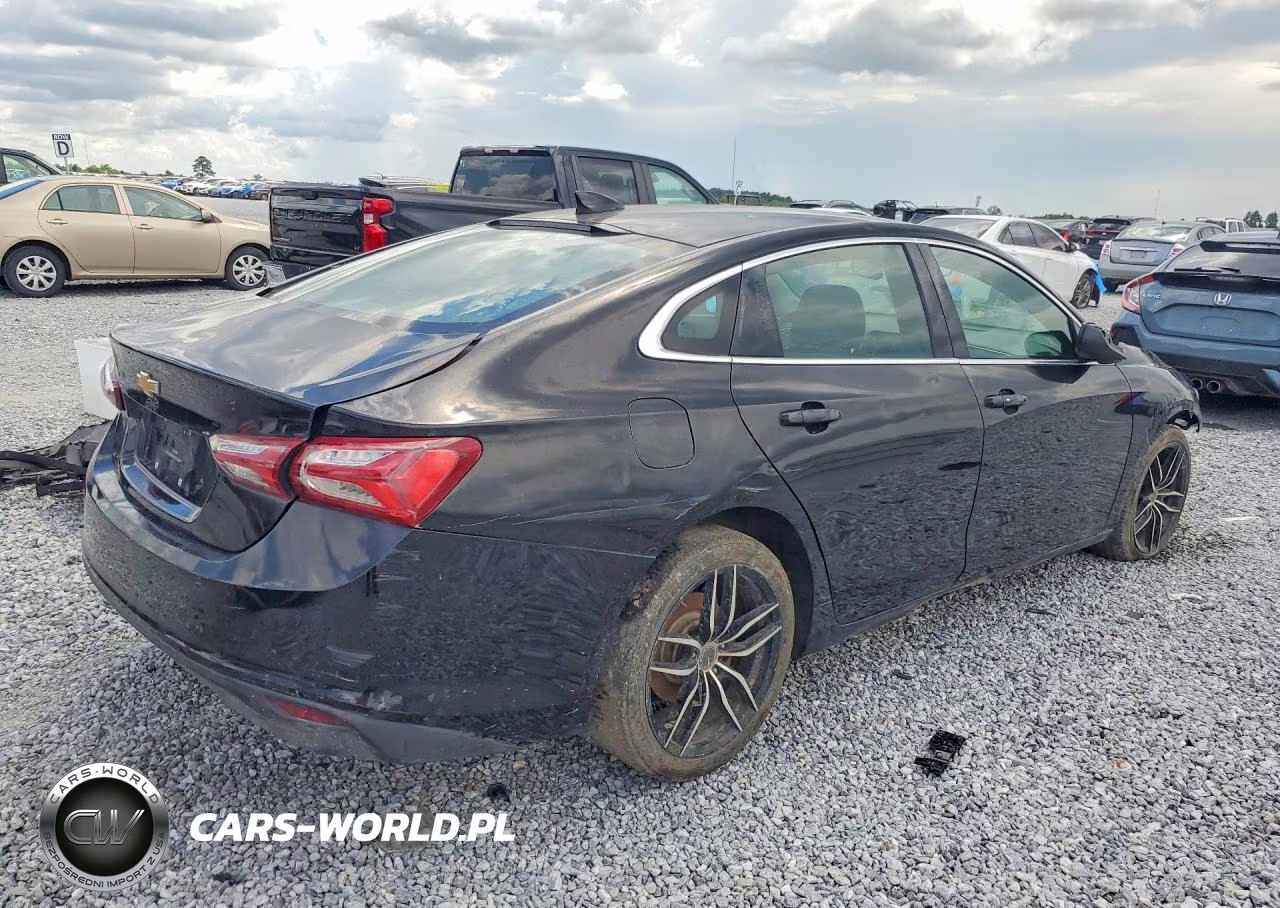 2019 Chevrolet Malibu Lt VIN:1G1ZD5ST6KF159503 - 3