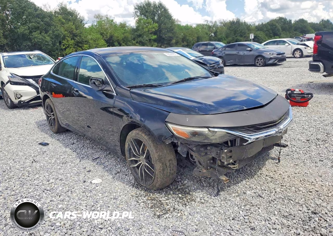 2019 Chevrolet Malibu Lt VIN:1G1ZD5ST6KF159503 - 4