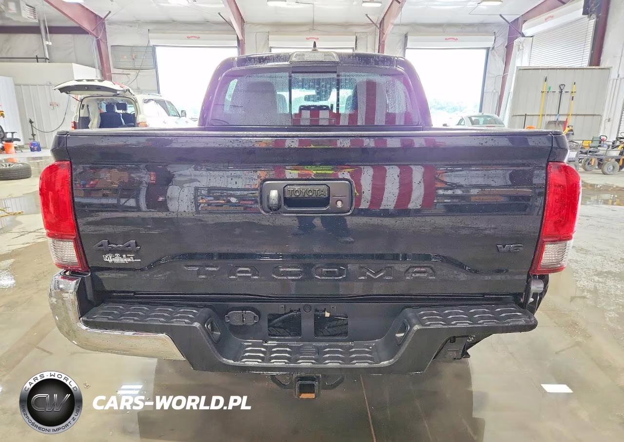 2019 Toyota Tacoma Sr5 V6 VIN:3TMCZ5AN7KM222934 - 6