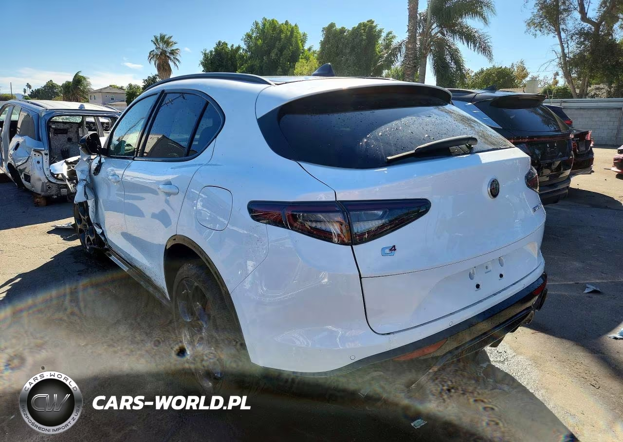 2024 Alfa Romeo Stelvio Ti VIN:ZASPAKBN3R7D78356 - 2