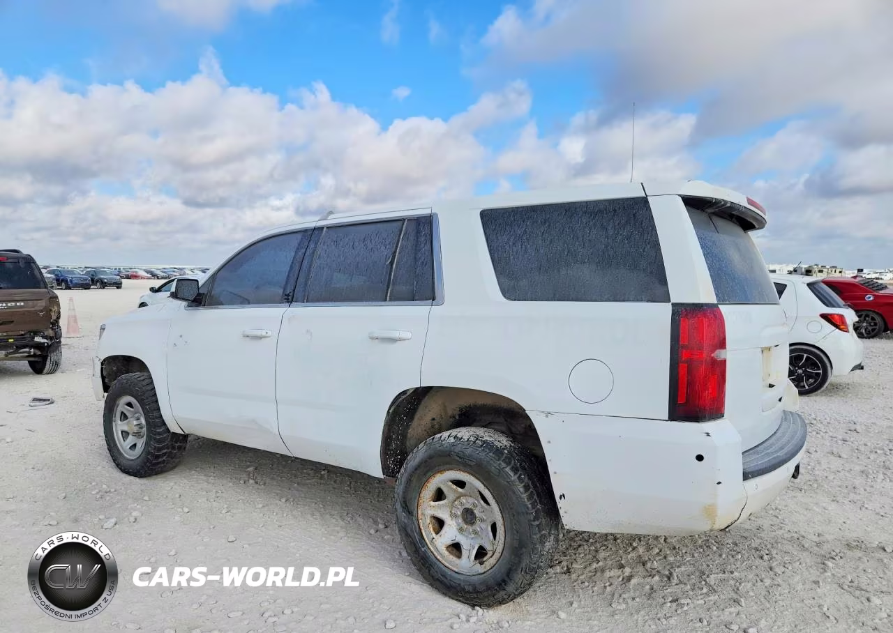 2019 Chevrolet Tahoe Special VIN:1GNSKFEC5KR125378 - 2