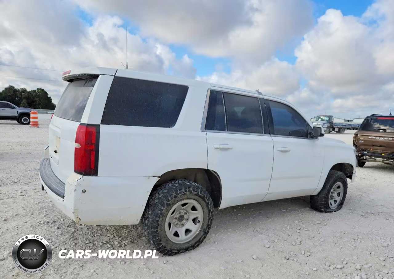2019 Chevrolet Tahoe Special VIN:1GNSKFEC5KR125378 - 3