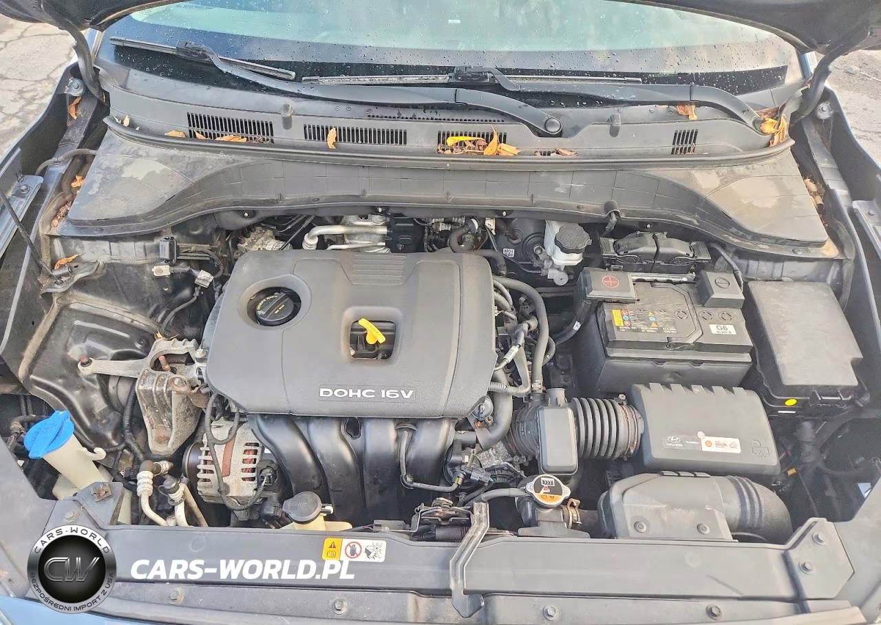 2019 Hyundai Kona Sel VIN:KM8K2CAA0KU323953 - 12