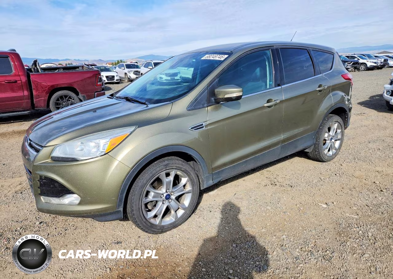 2013 Ford Escape Sel VIN:1FMCU9H91DUC03952 - 1