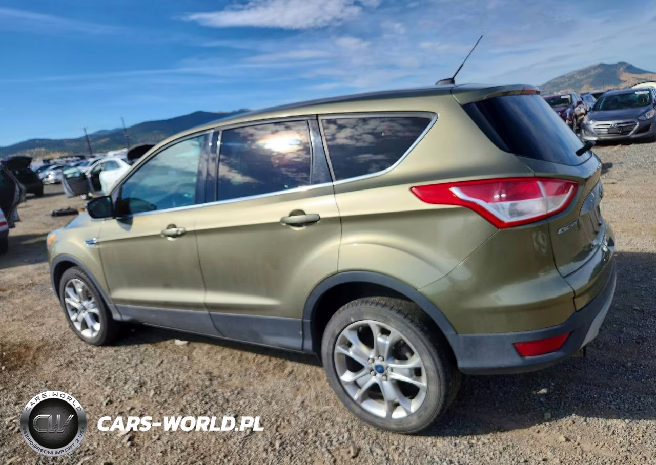 2013 Ford Escape Sel VIN:1FMCU9H91DUC03952 - 2