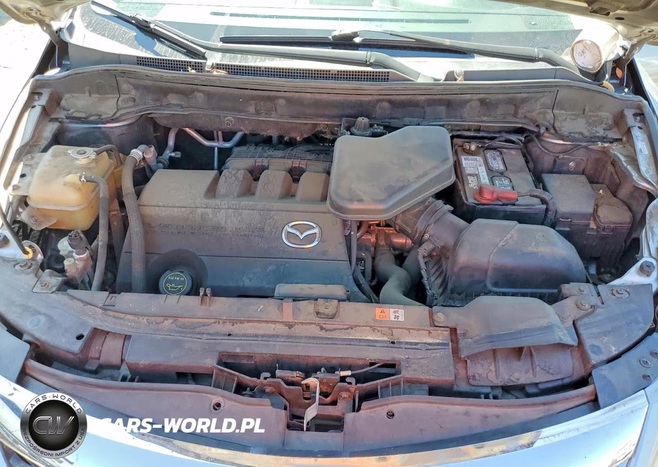 2010 Mazda Cx-9 VIN:JM3TB2MV9A0206354 - 12