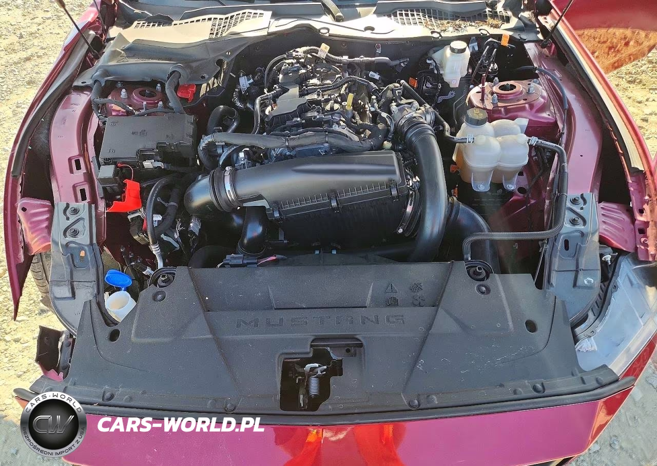 2025 Ford Mustang VIN:1FA6P8TH4S5125133 - 11