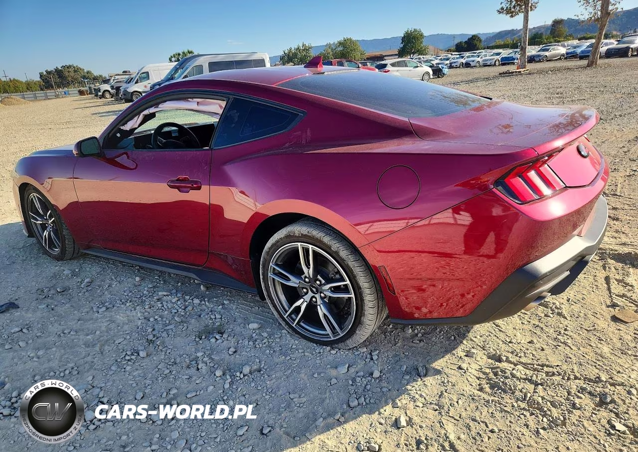 2025 Ford Mustang VIN:1FA6P8TH4S5125133 - 2