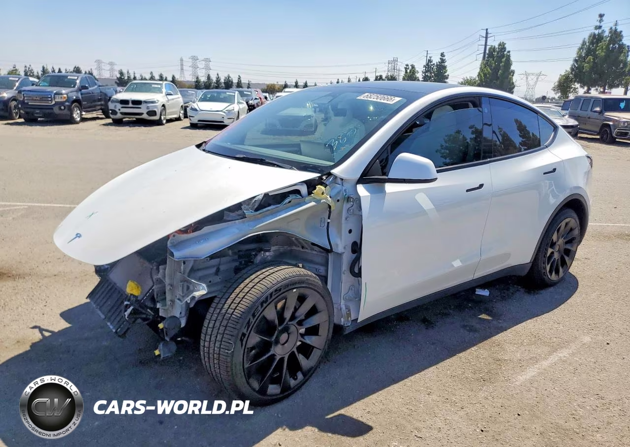 2023 Tesla Model Y VIN:7SAYGDEE8PF589081 - 1