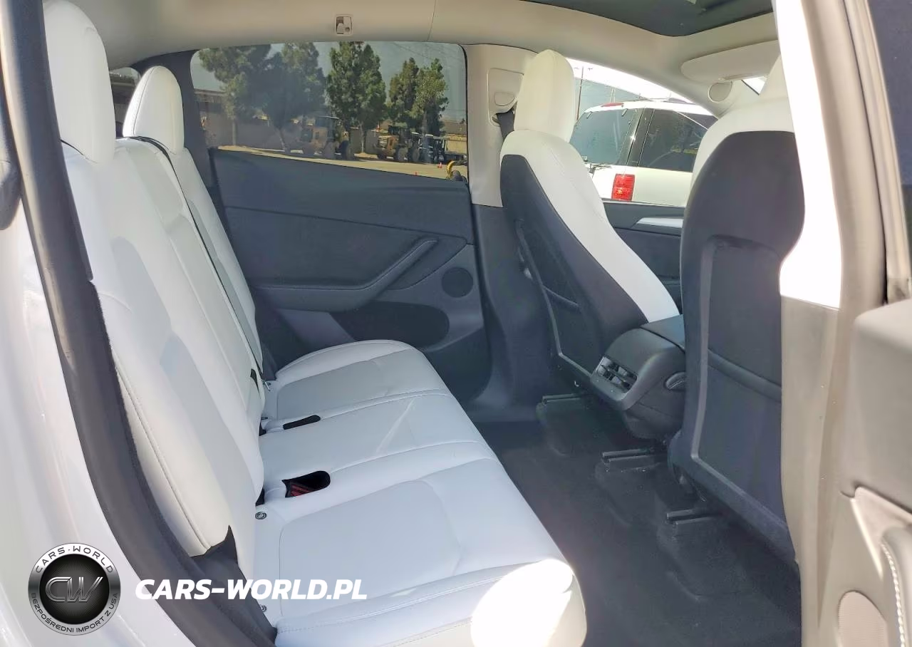 2023 Tesla Model Y VIN:7SAYGDEE8PF589081 - 10