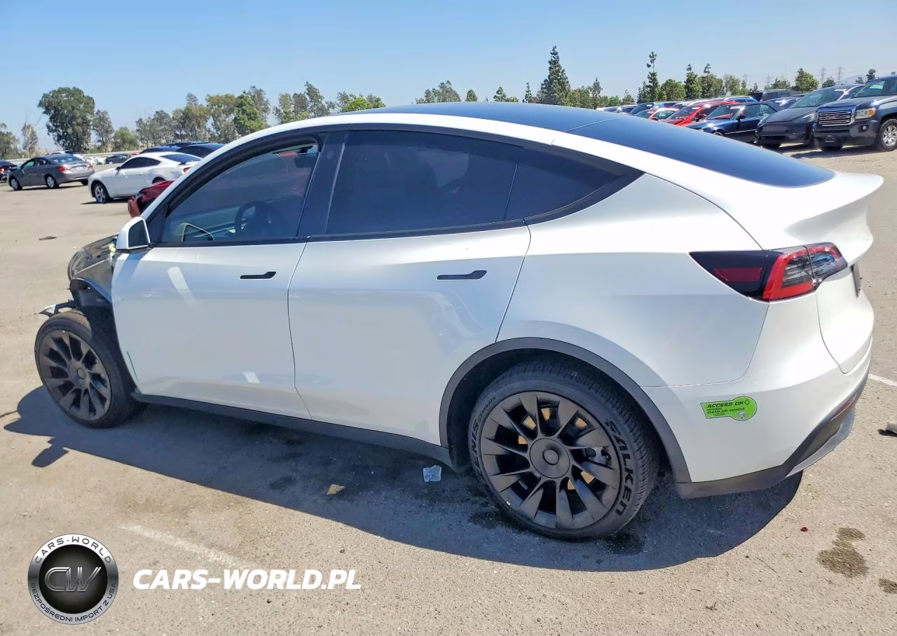 2023 Tesla Model Y VIN:7SAYGDEE8PF589081 - 2