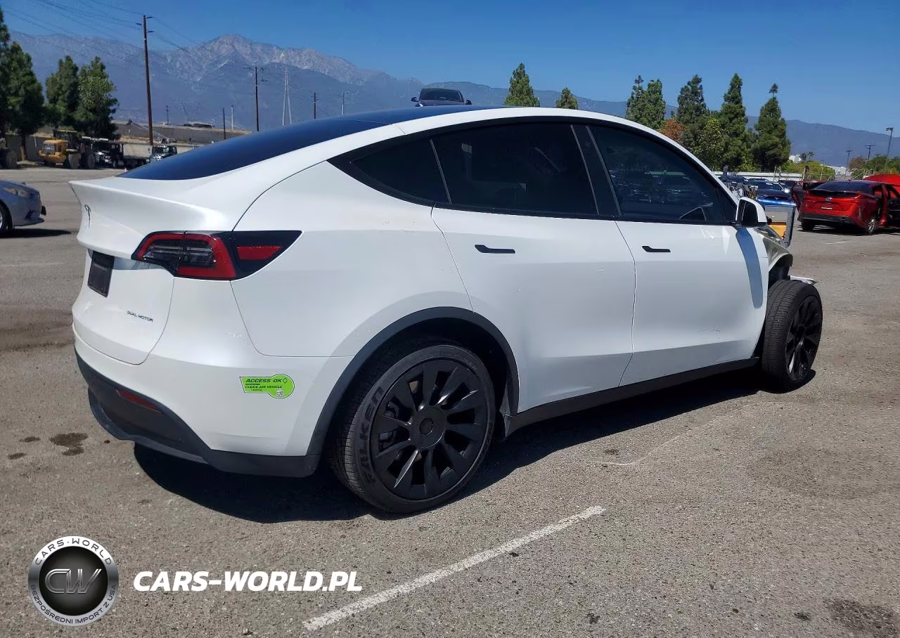 2023 Tesla Model Y VIN:7SAYGDEE8PF589081 - 3