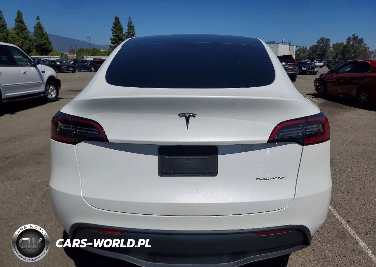 2023 Tesla Model Y VIN:7SAYGDEE8PF589081 - 6