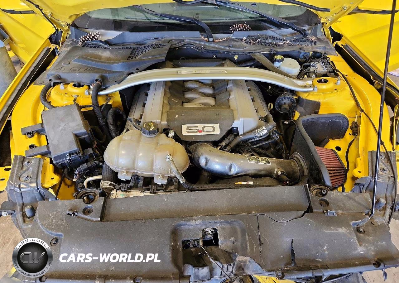 2015 Ford Mustang Gt VIN:1FA6P8CF4F5303806 - 11