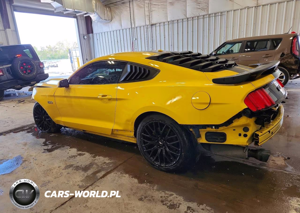 2015 Ford Mustang Gt VIN:1FA6P8CF4F5303806 - 2
