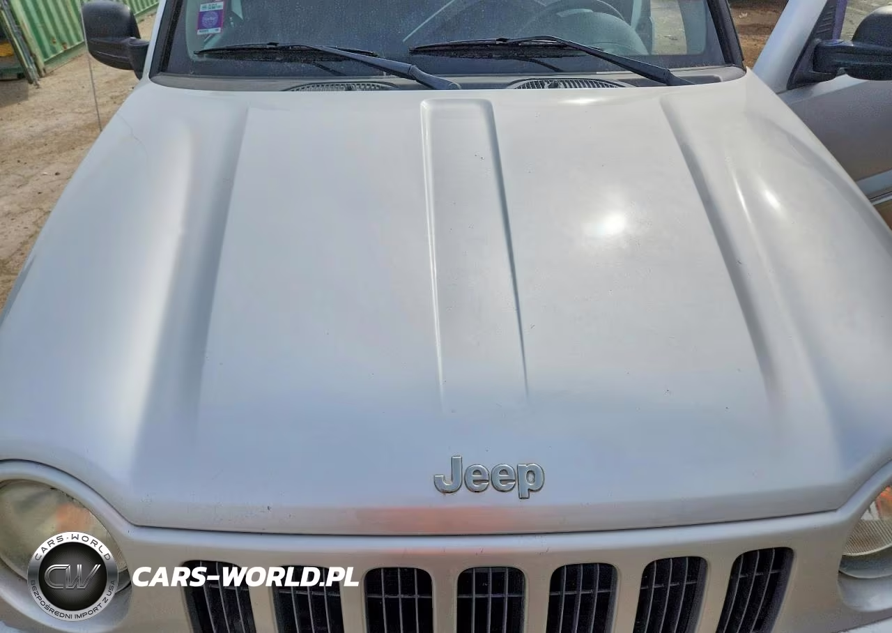 2004 Jeep Liberty Limited VIN:1J4GL58K24W225056 - 11