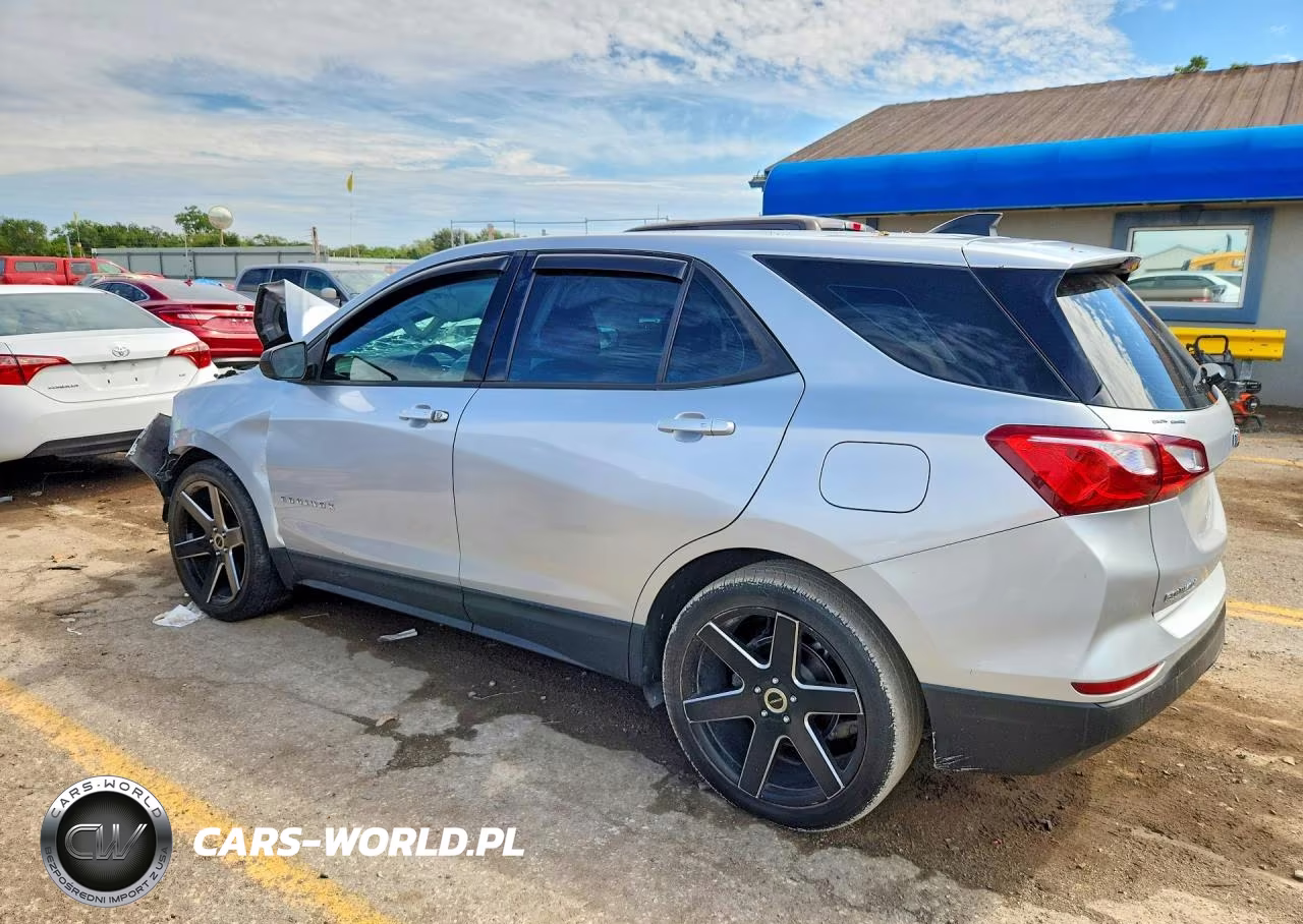 2019 Chevrolet Equinox Ls VIN:3GNAXHEV8KL147165 - 2