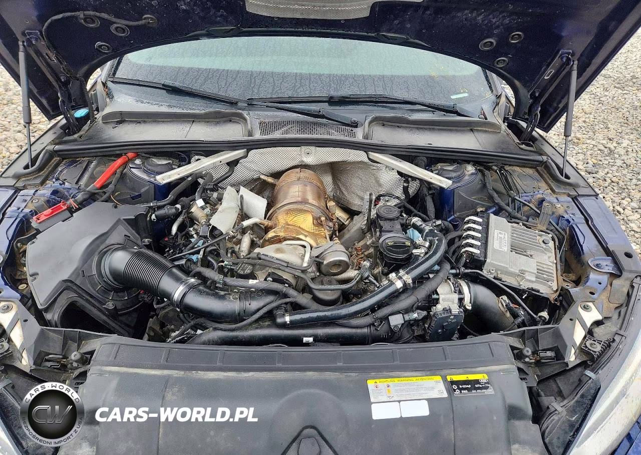 2018 Audi S5 Premium Plus VIN:WAUP4AF53JA088577 - 11