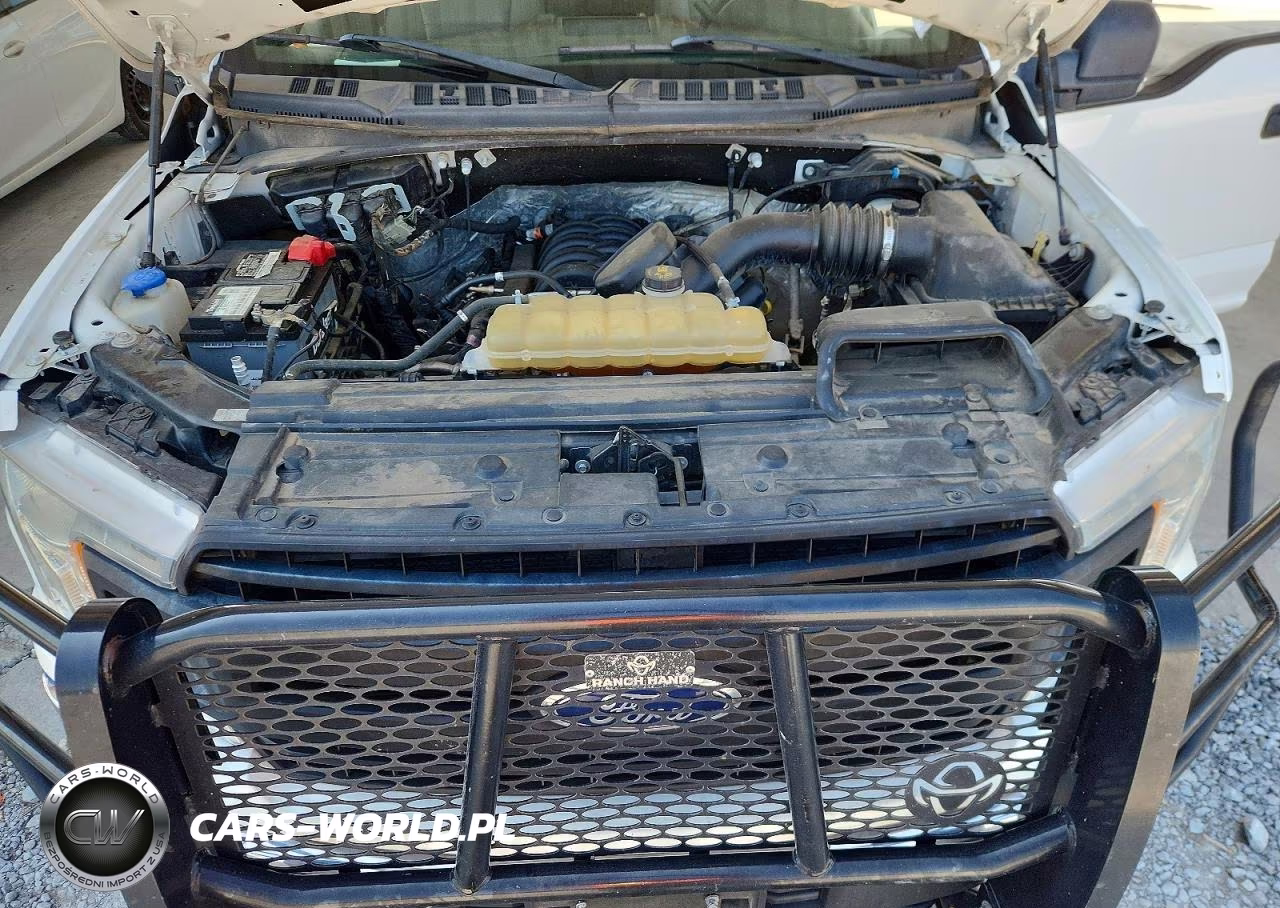 2019 Ford F150 Supercrew VIN:1FTFW1E52KKD30751 - 11