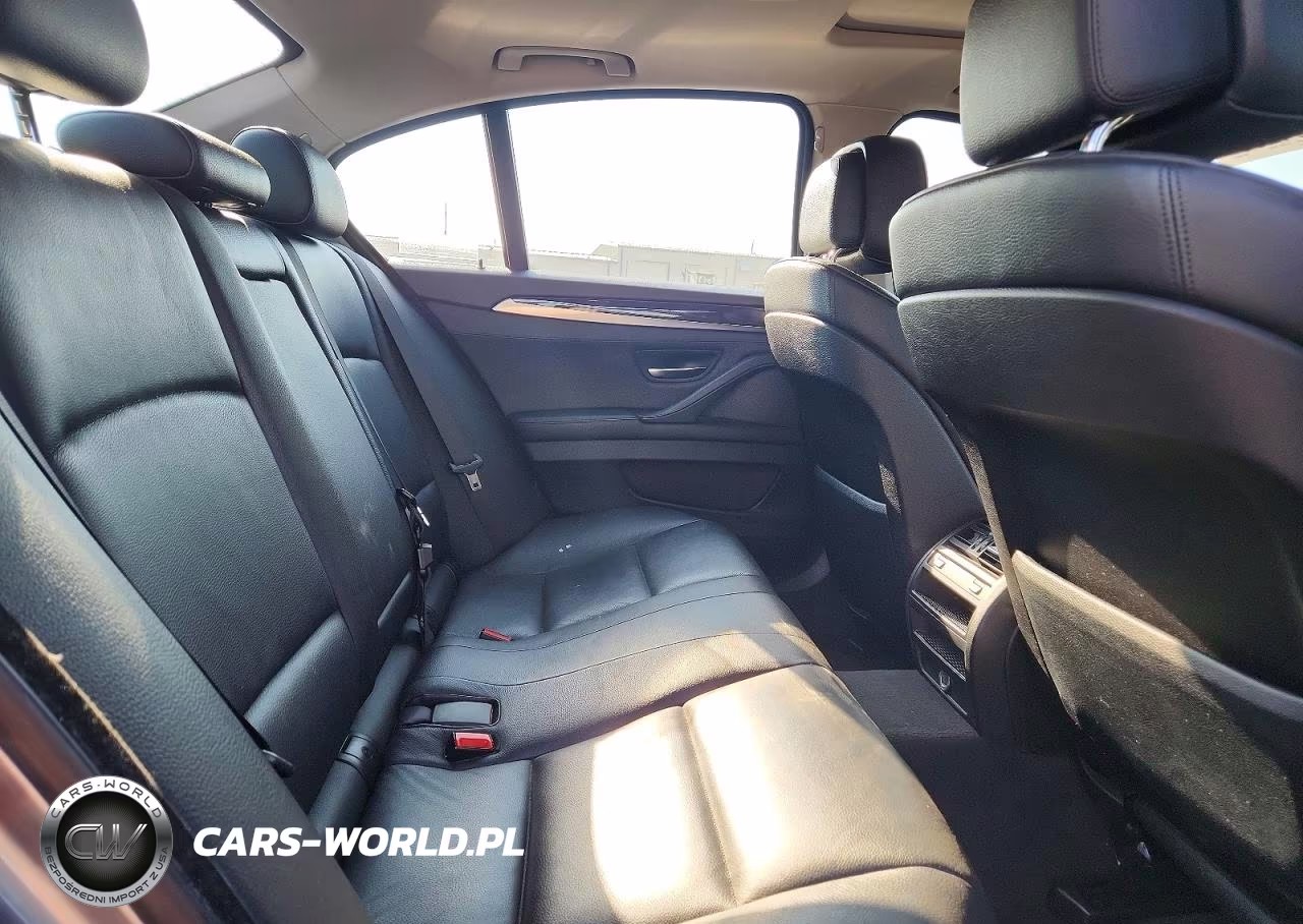 2012 BMW 528 Xi VIN:WBAXH5C52CDW09757 - 10