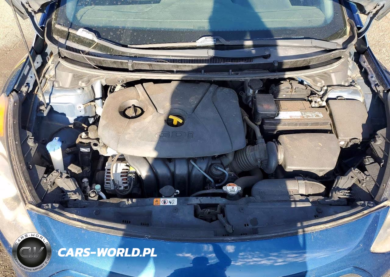 2016 Hyundai Elantra Gt Base VIN:KMHD35LH3GU284245 - 11