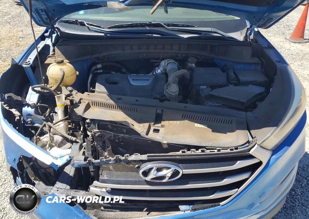 2017 Hyundai Tucson Sport VIN:KM8J33A27HU518393 - 12