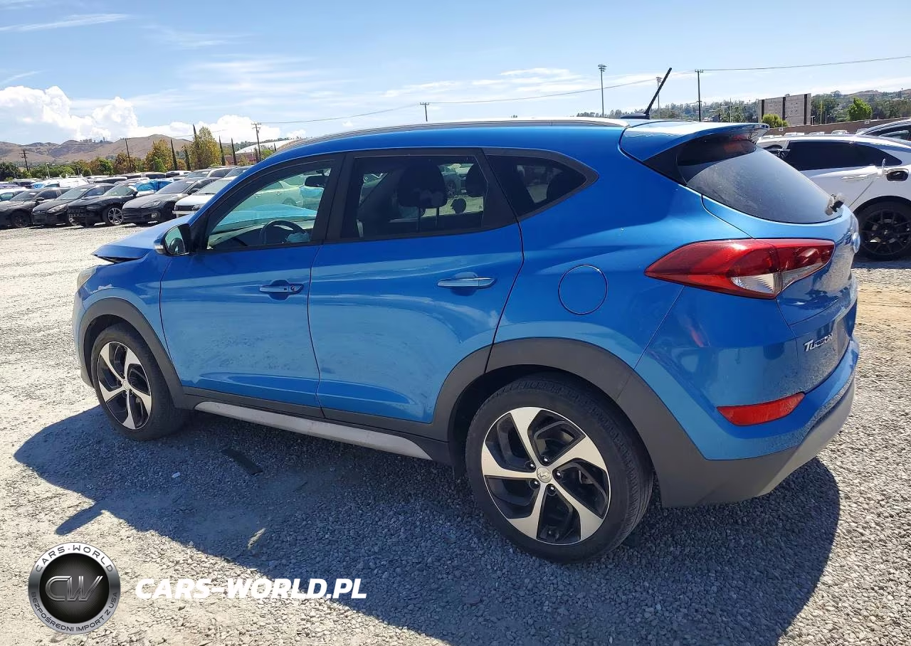 2017 Hyundai Tucson Sport VIN:KM8J33A27HU518393 - 2