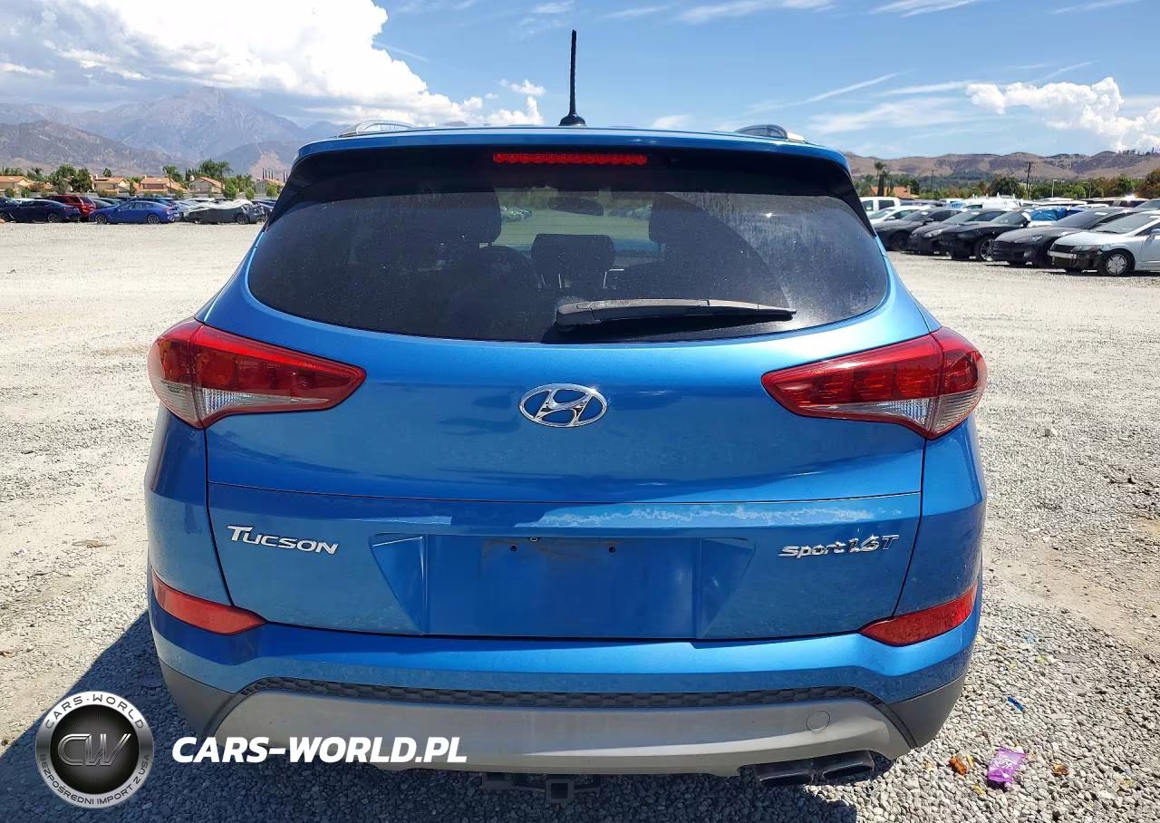 2017 Hyundai Tucson Sport VIN:KM8J33A27HU518393 - 6