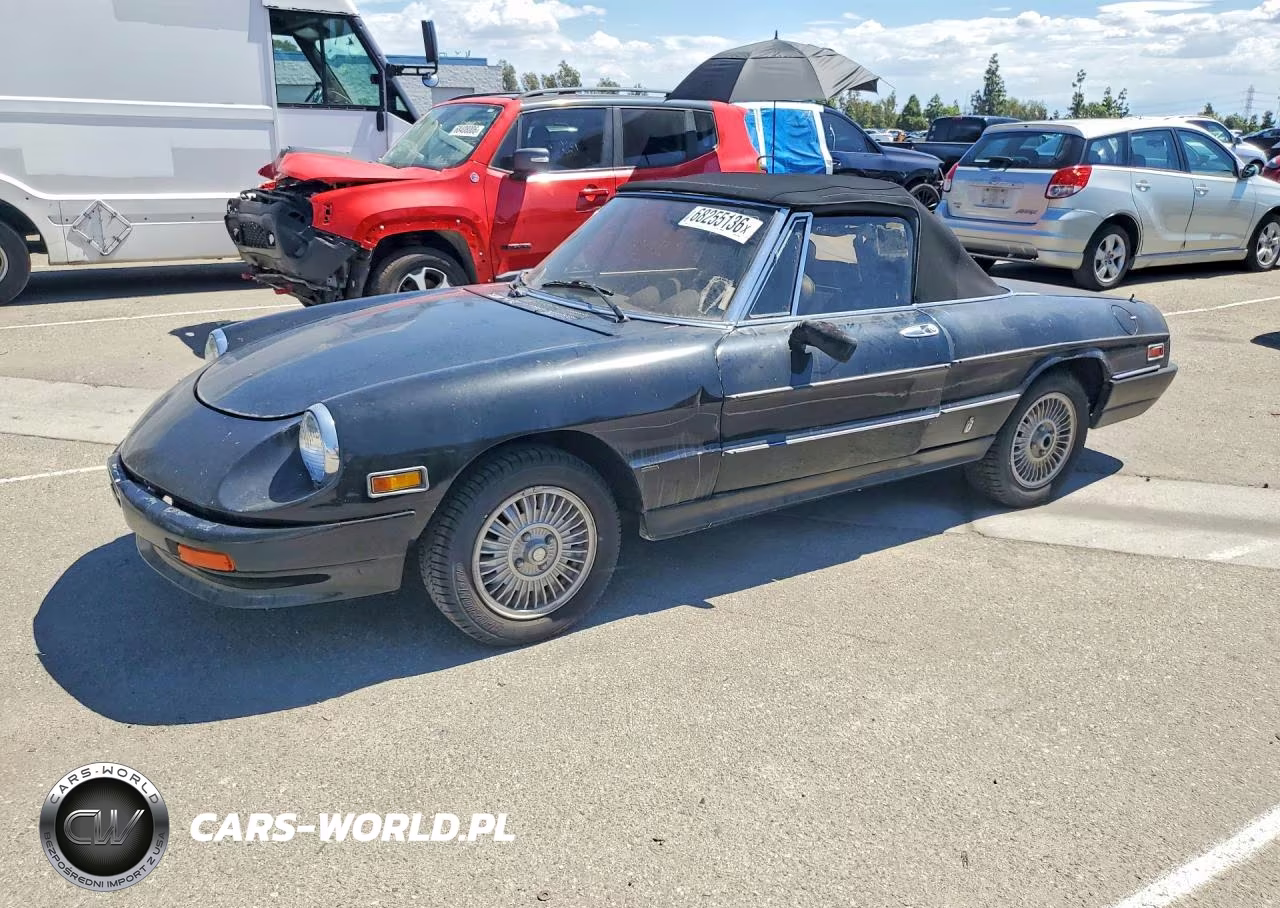 1981 Alfa Romeo Veloce 2000 Spider – zdjęcie 1 z 12
