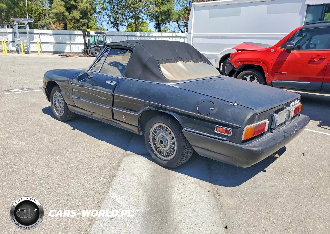 1981 Alfa Romeo Veloce 2000 Spider VIN:ZARBA5415B1010290 - 2