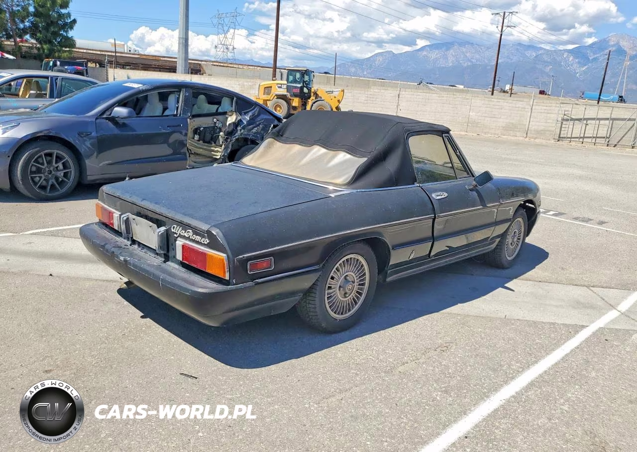 1981 Alfa Romeo Veloce 2000 Spider VIN:ZARBA5415B1010290 - 3