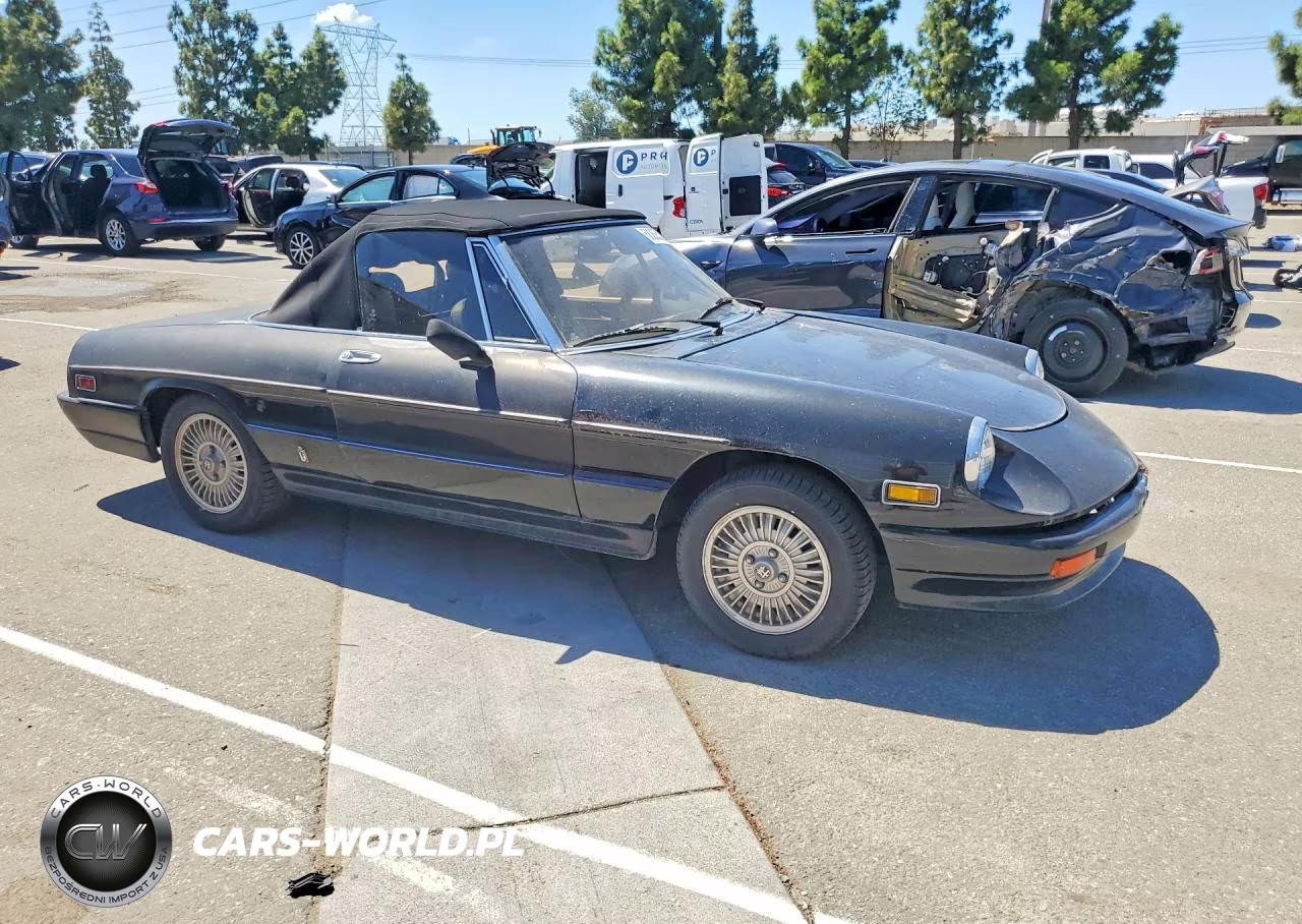 1981 Alfa Romeo Veloce 2000 Spider VIN:ZARBA5415B1010290 - 4