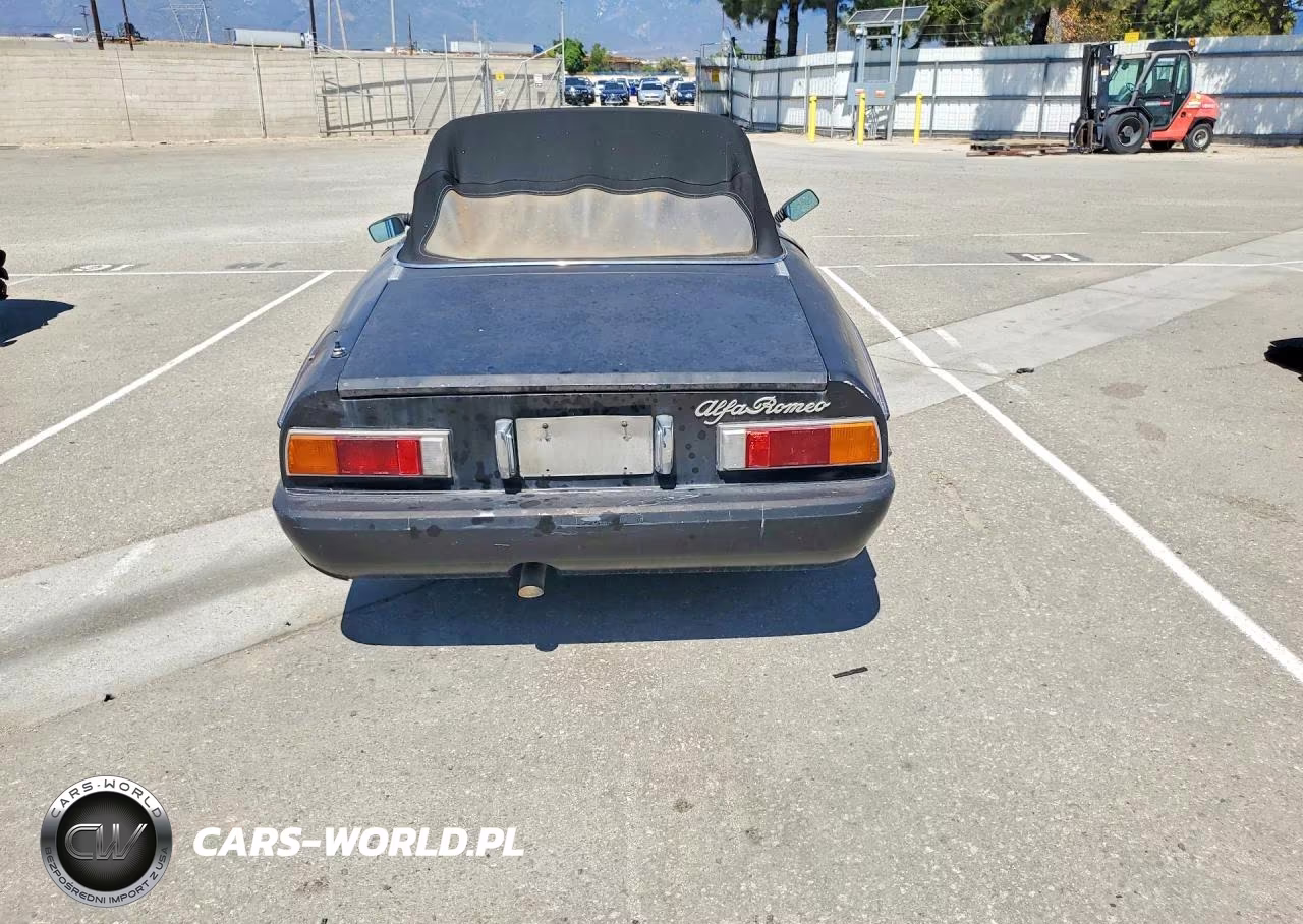 1981 Alfa Romeo Veloce 2000 Spider VIN:ZARBA5415B1010290 - 6