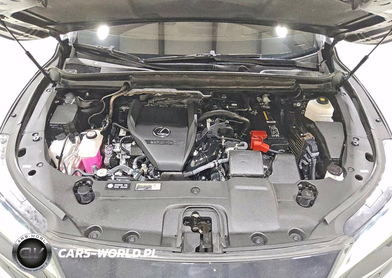 2024 Lexus Rx 350 F Sport Handling VIN:2T2BAMCA4RC040887 - 12