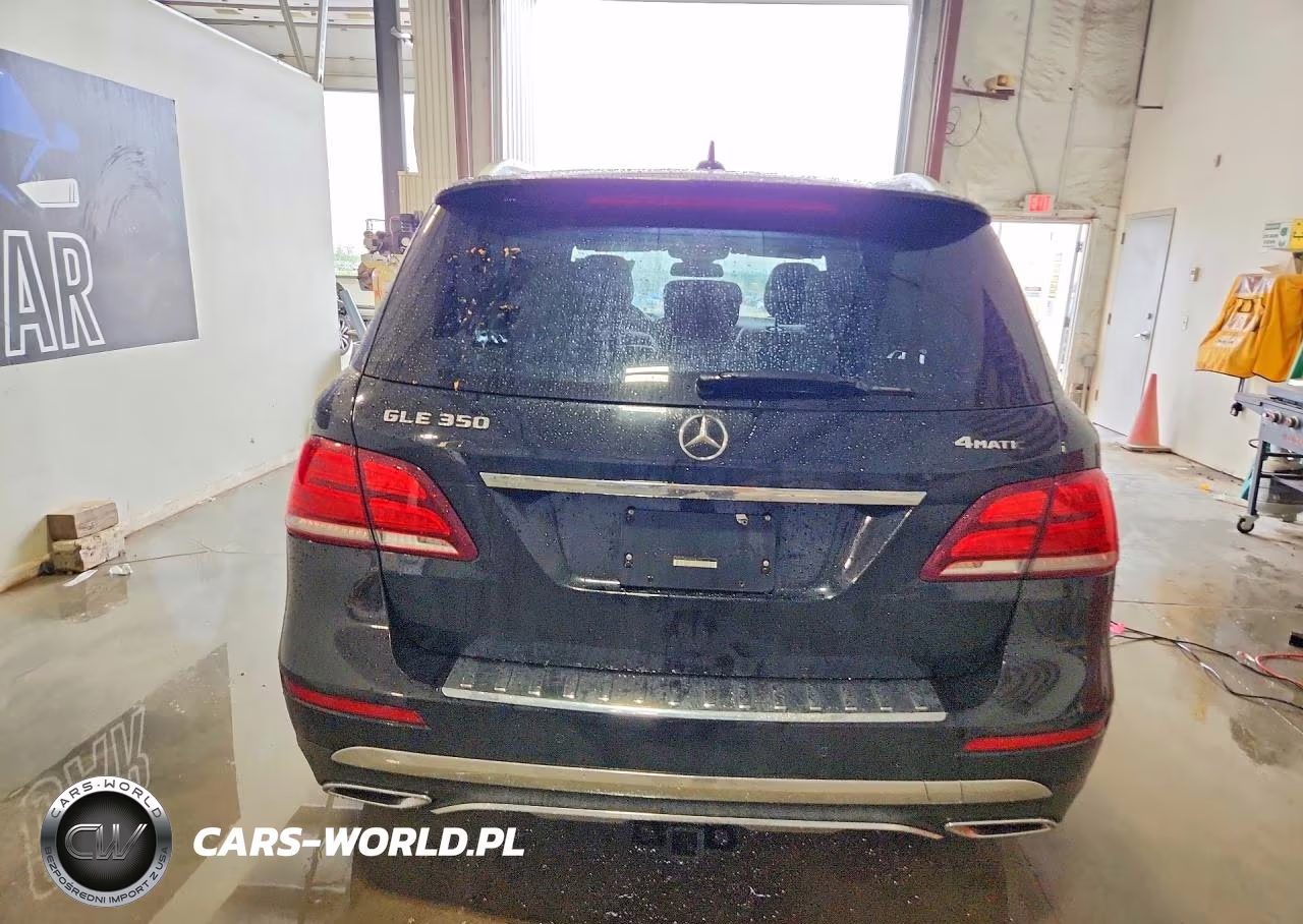 2017 Mercedes-Benz Gle 350 4Matic VIN:4JGDA5HB2HA958172 - 6