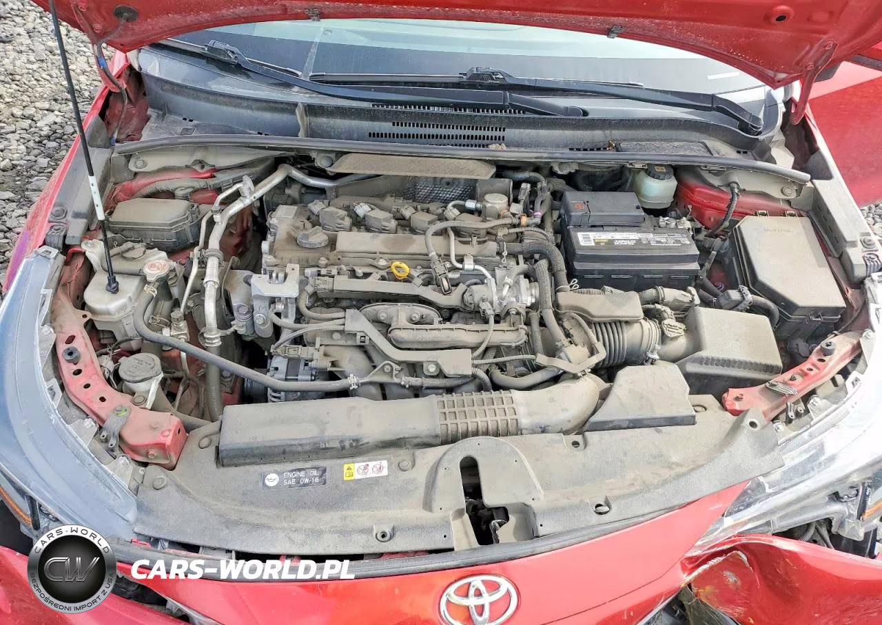 2021 Toyota Corolla Se VIN:JTDS4MCEXMJ065093 - 11