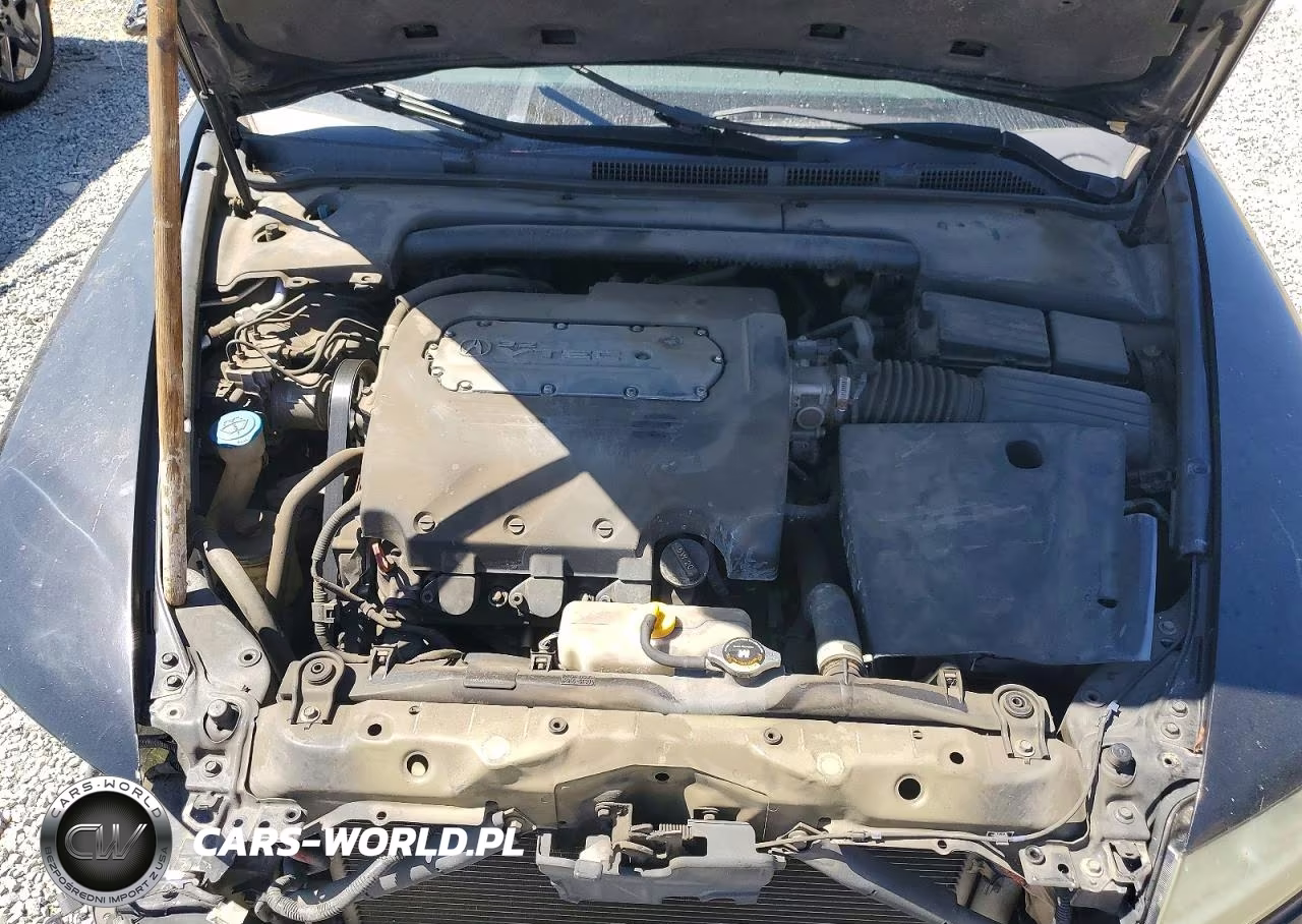 2004 Acura Tl VIN:19UUA66264A054513 - 11