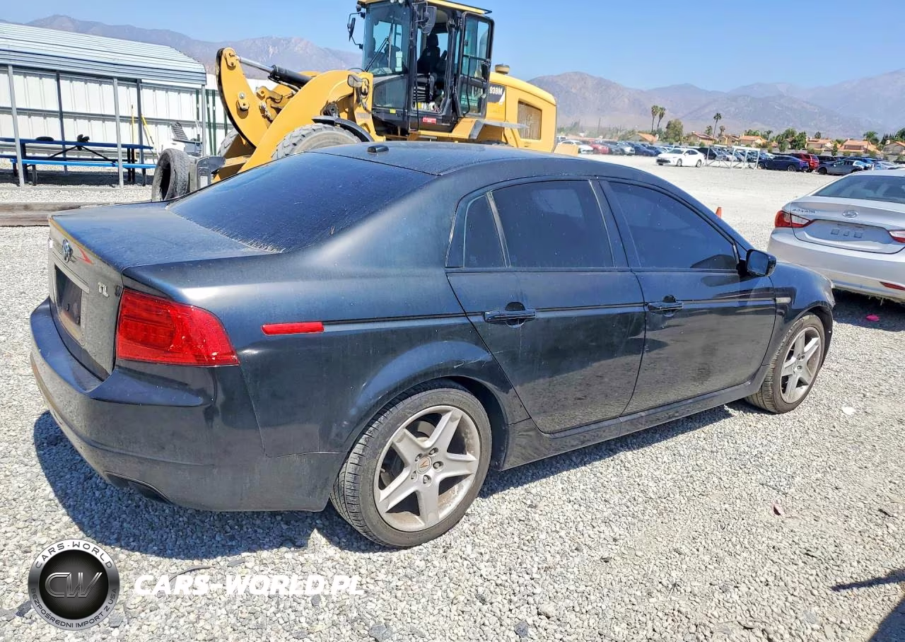 2004 Acura Tl VIN:19UUA66264A054513 - 3