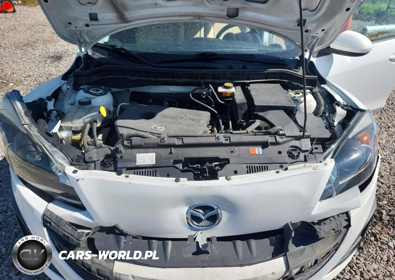 2011 Mazda 3 I VIN:JM1BL1VF1B1411357 - 11