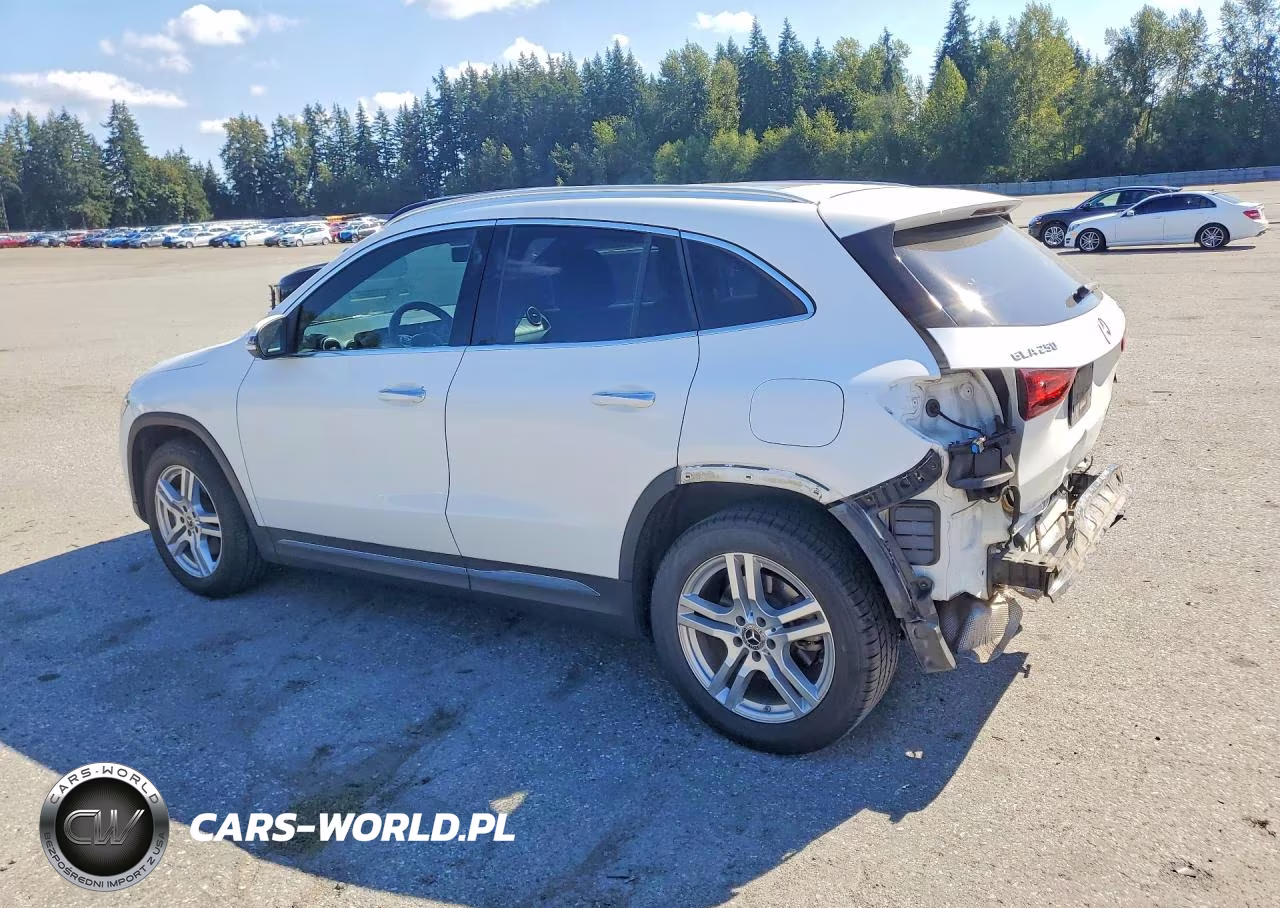 2021 Mercedes-Benz Gla 250 4Matic VIN:W1N4N4HB3MJ241611 - 2