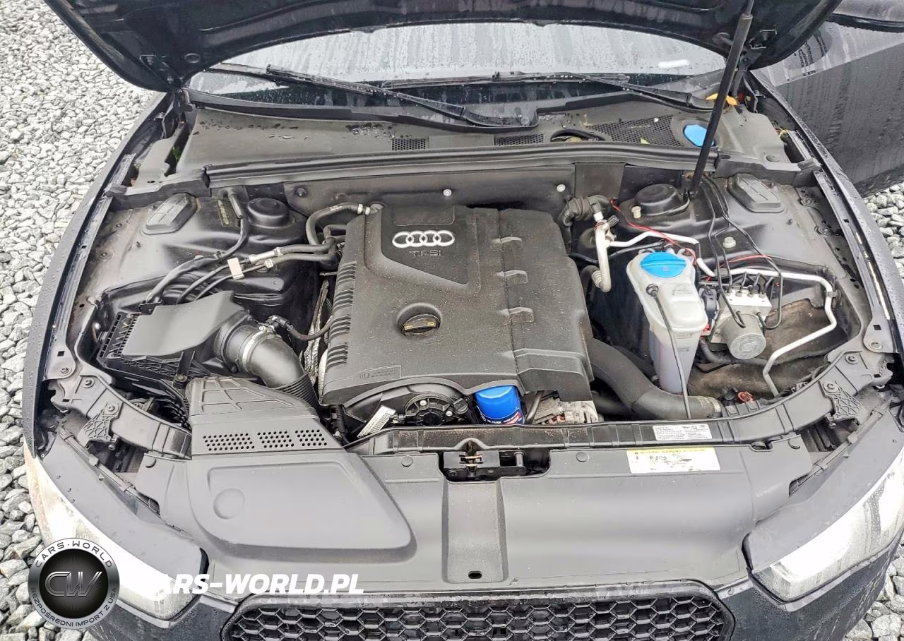 2014 Audi A5 Premium Plus VIN:WAULFAFR8EA001273 - 11