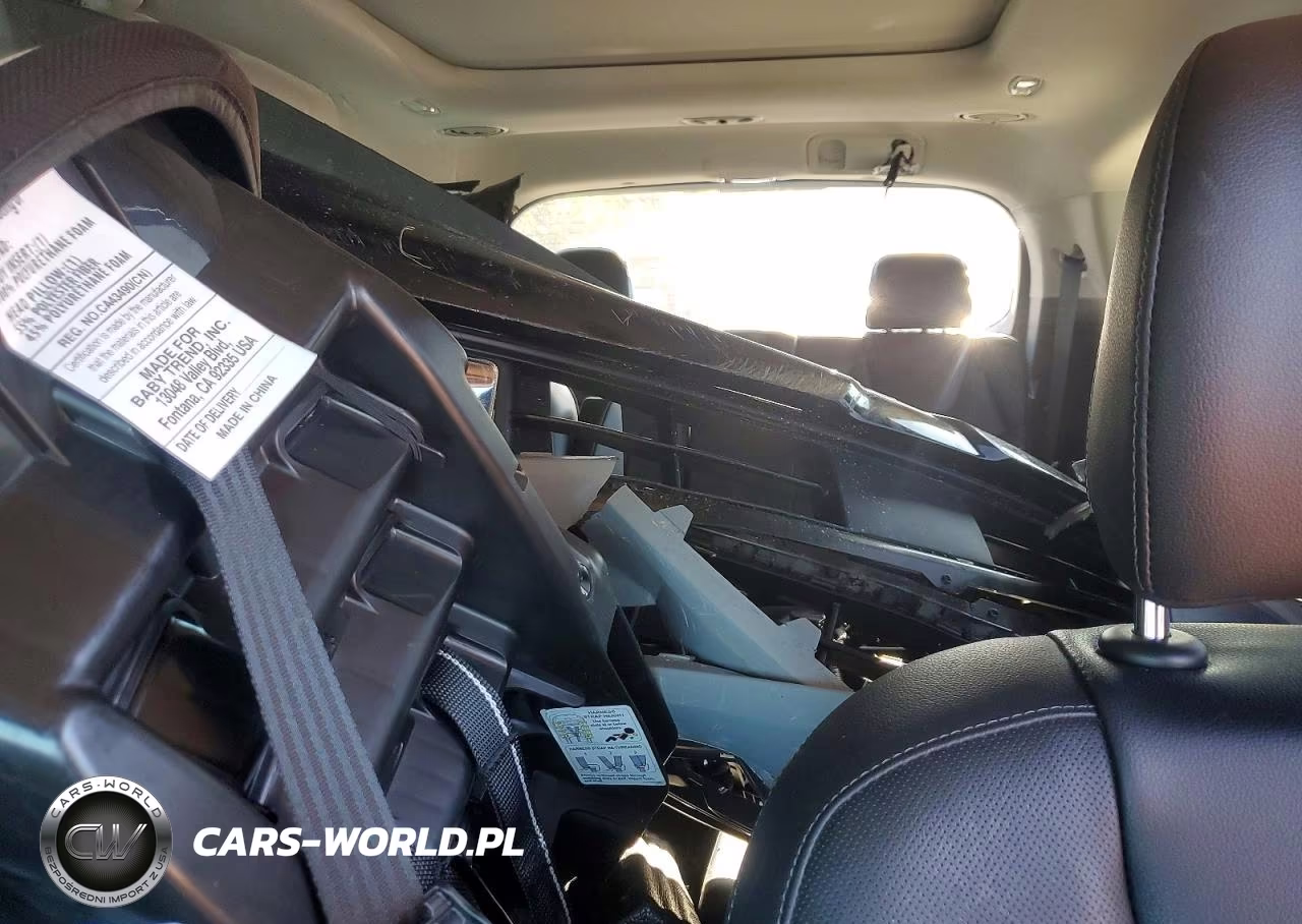 2022 Kia Telluride Sx VIN:5XYP5DHCXNG238980 - 10