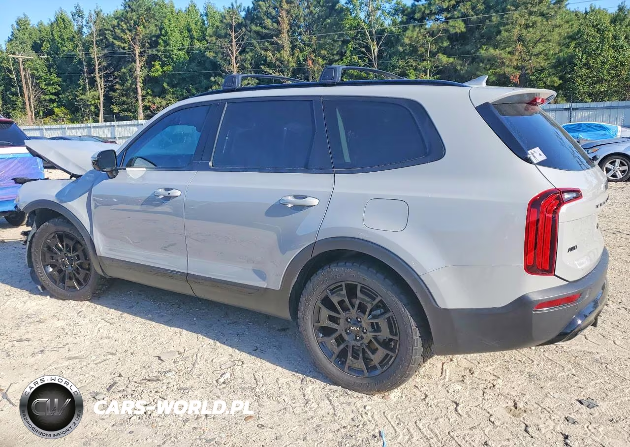 2022 Kia Telluride Sx VIN:5XYP5DHCXNG238980 - 2